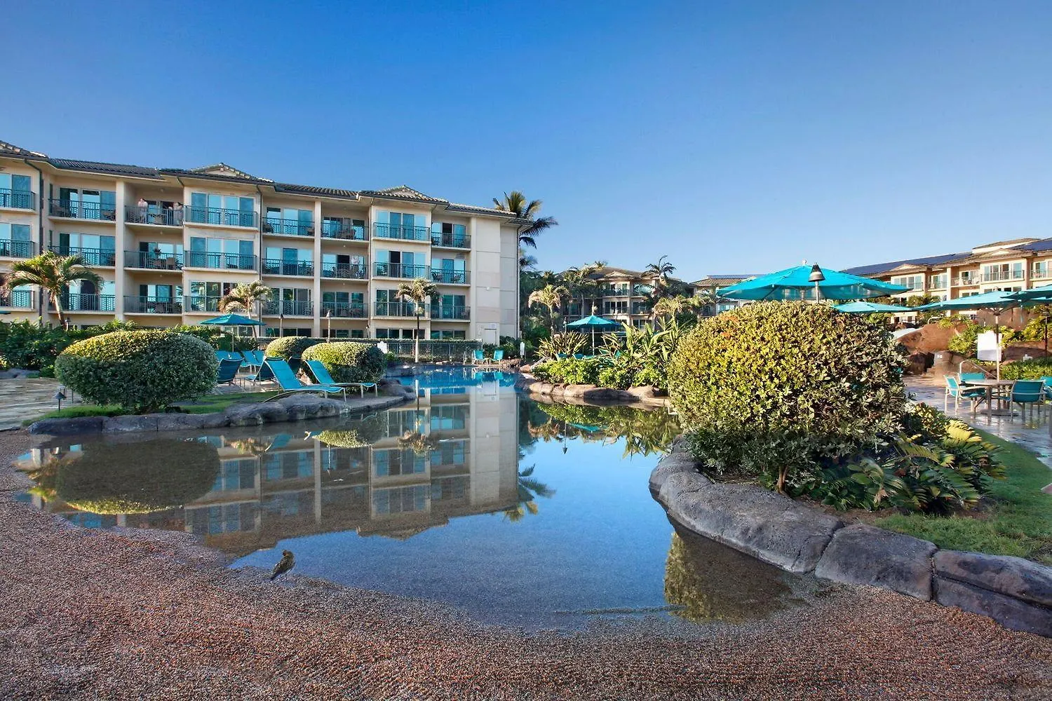 Waipouli Beach Resort F201 Wailua  شقة Wailua (Kauai)
